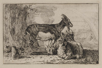 TvB G 1148
          <br/>
          Geiten
          <br/>
          <em>Hecke, Jan van den (1620-1689)</em>